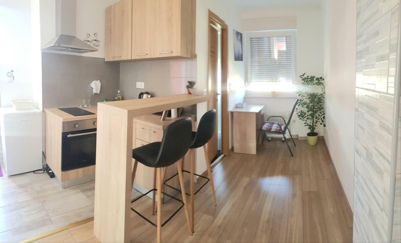 Penthouse Spudic Karlovac Apartment ภายนอก รูปภาพ